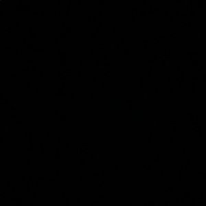 Meet your Posher, Wesley